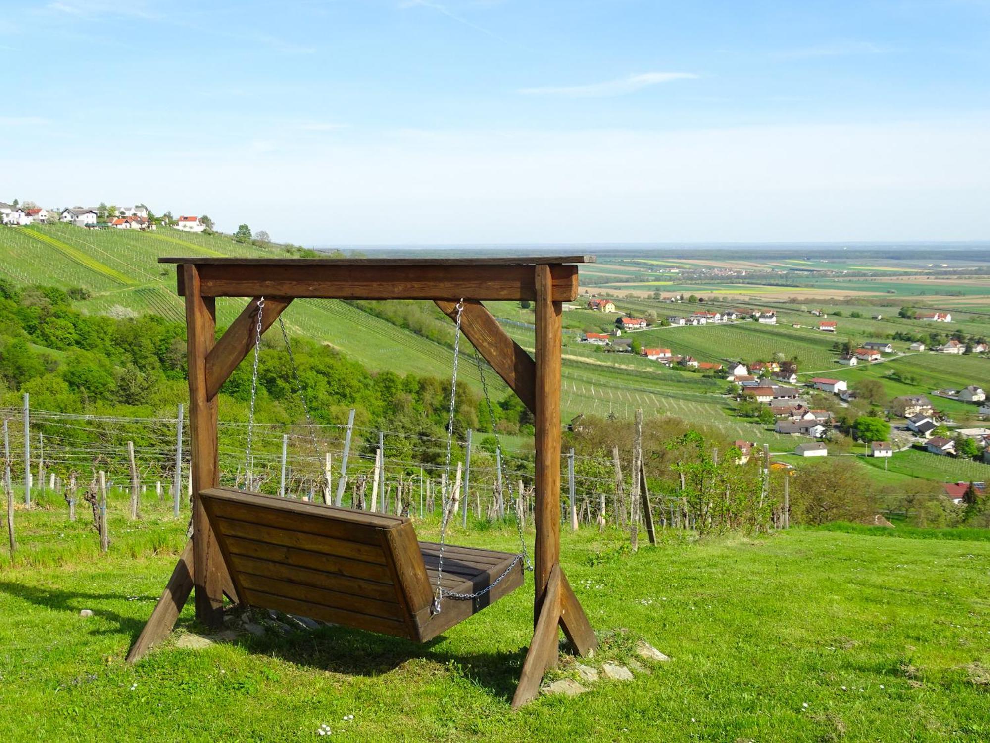 Kellerstoeckl Am Berg Villa Eisenberg an der Pinka Luaran gambar